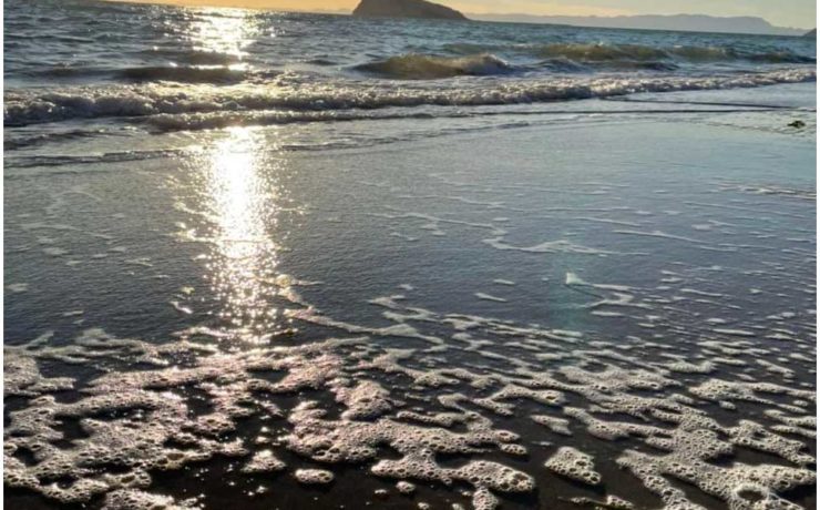 Punta Península Kino: Un edén en el Mar de Cortés