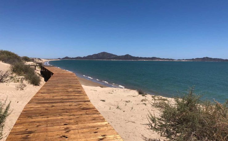 Punta Península Kino: Un edén en el Mar de Cortés