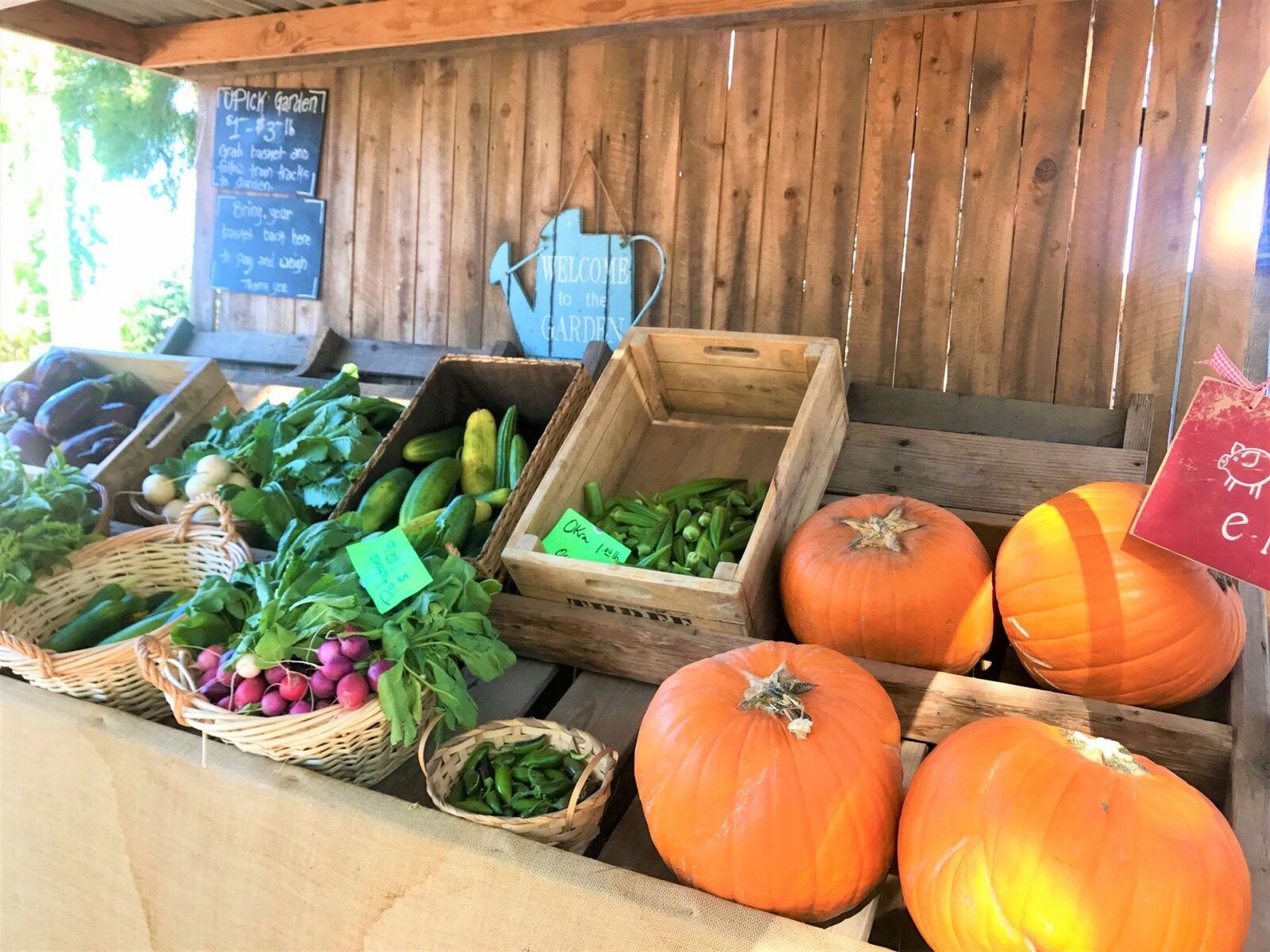 Muestra de productos de Schnepf Farms, Arizona