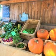 Muestra de productos de Schnepf Farms, Arizona