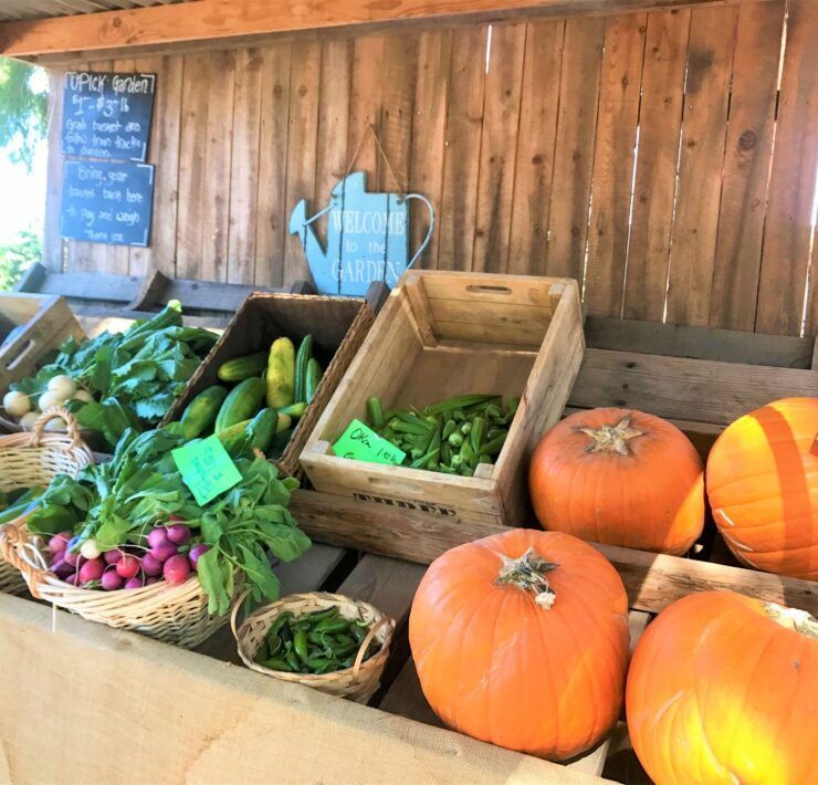 Muestra de productos de Schnepf Farms, Arizona