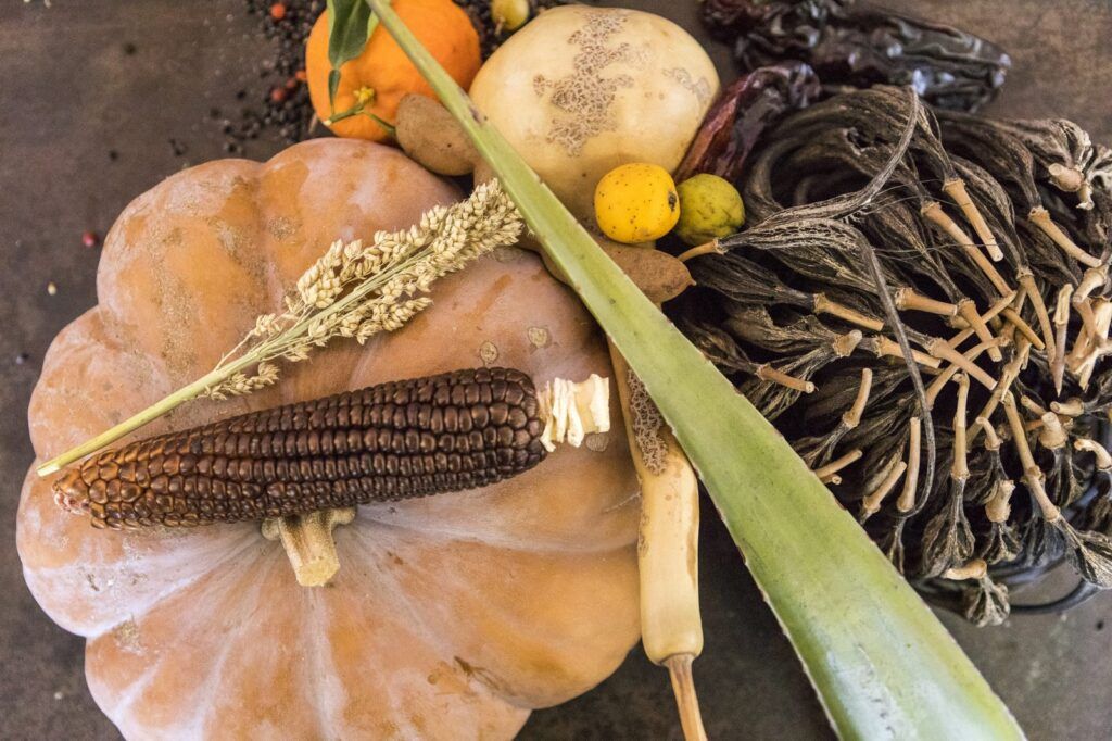 Ingredientes nativos de Arizona: maíz negro, calabaza y chiles secos, herencia de miles de años de historia agrícola
