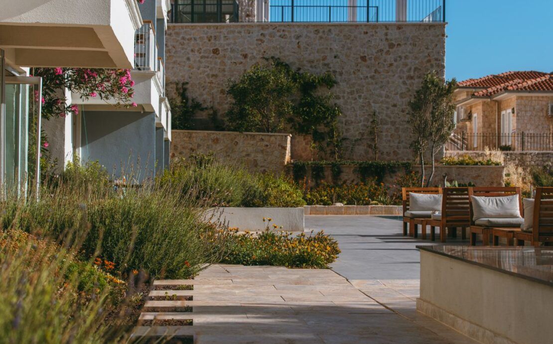 Jardín para clima cálido con plantas de bajo consumo de agua al atardecer