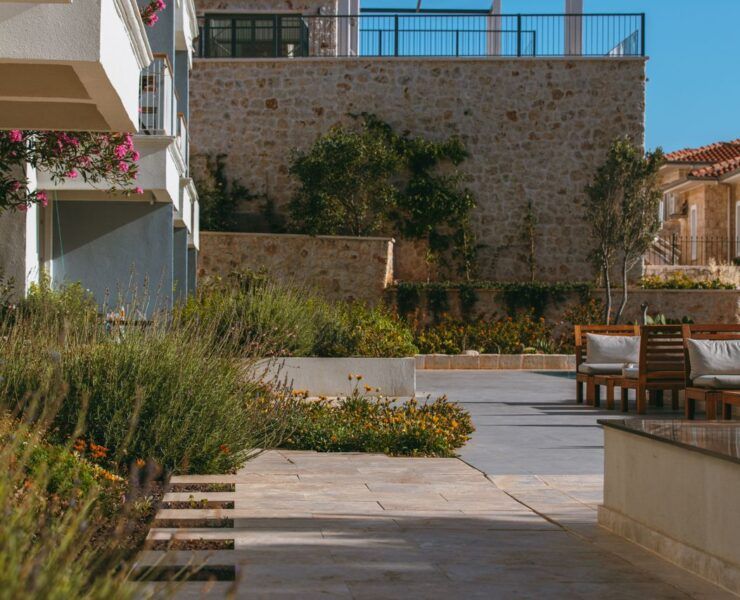 Jardín para clima cálido con plantas de bajo consumo de agua al atardecer