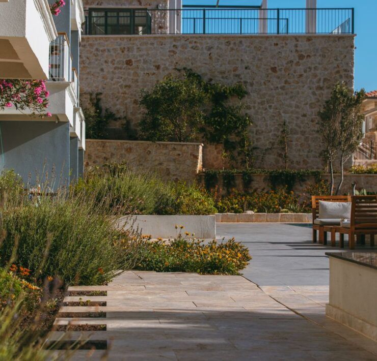Jardín para clima cálido con plantas de bajo consumo de agua al atardecer