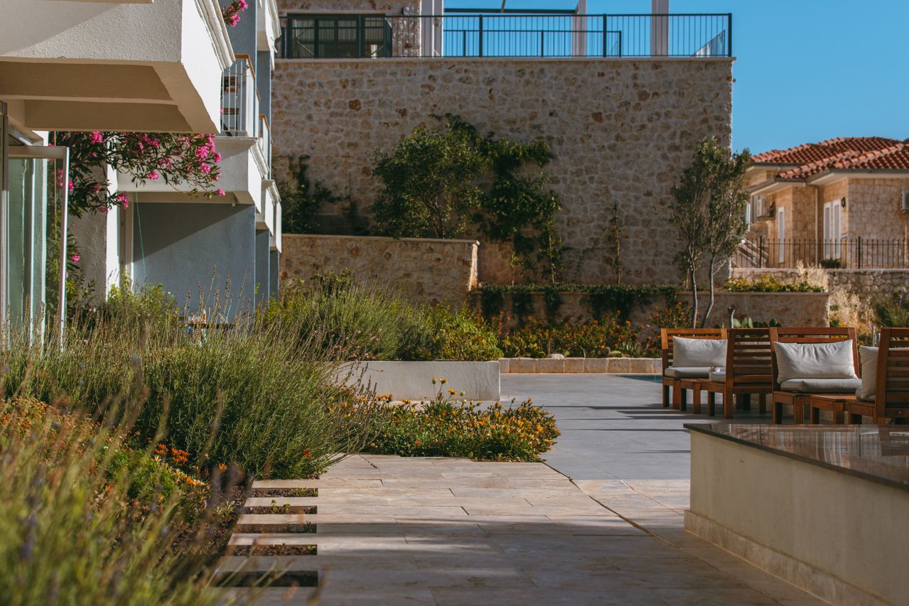 Jardín para clima cálido con plantas de bajo consumo de agua al atardecer