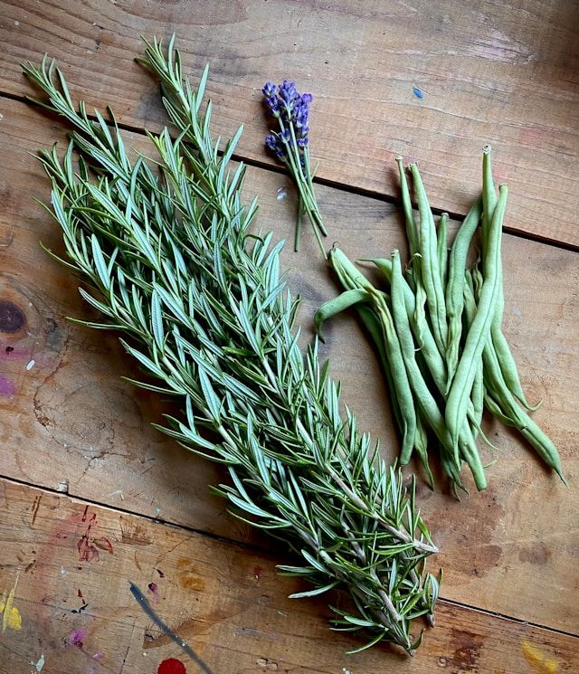 Lavanda, romero y salvia en un jardín aromático bajo sol pleno
