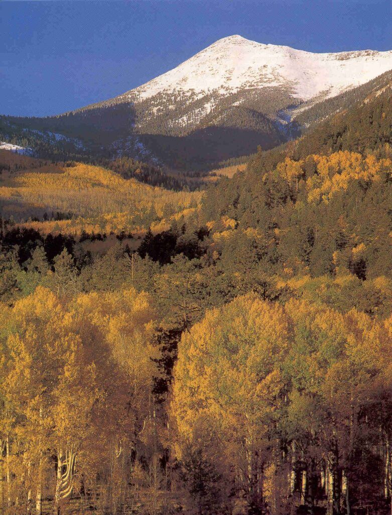 Montañas San Francisco Peaks nevadas junto a bosques otoñales dorados en Flagstaff, Arizona