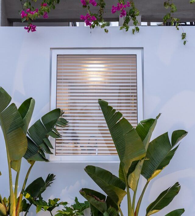 Fachada de Casa Martinica con ventana, bugambilia y vegetación costera