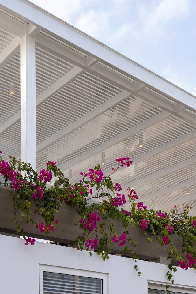 Pérgola blanca con bugambilia en flor