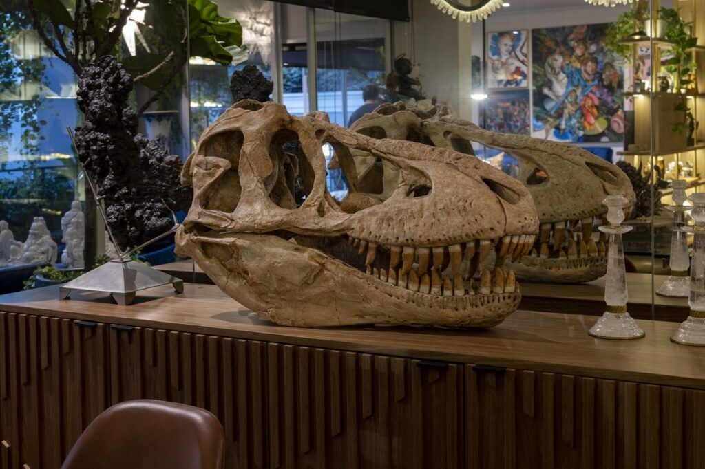 Cráneo de dinosaurio sobre credenza de madera en el comedor de Casa Mineral, con candelabros de cristal de roca