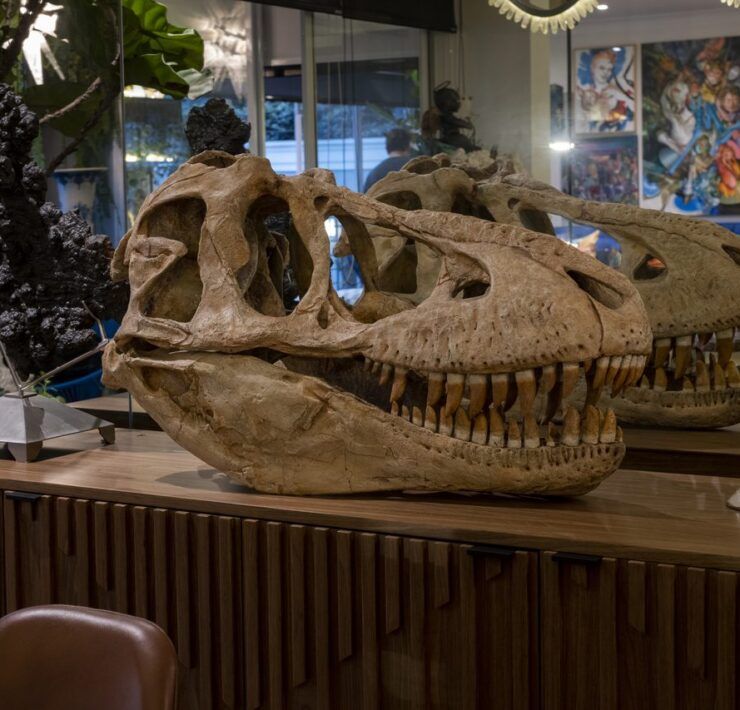 Cráneo de dinosaurio sobre credenza de madera en el comedor de Casa Mineral, con candelabros de cristal de roca