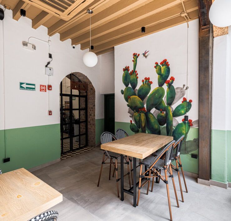 Entrada de Casona Obregón 55 con muro verde, cactus y mobiliario de madera