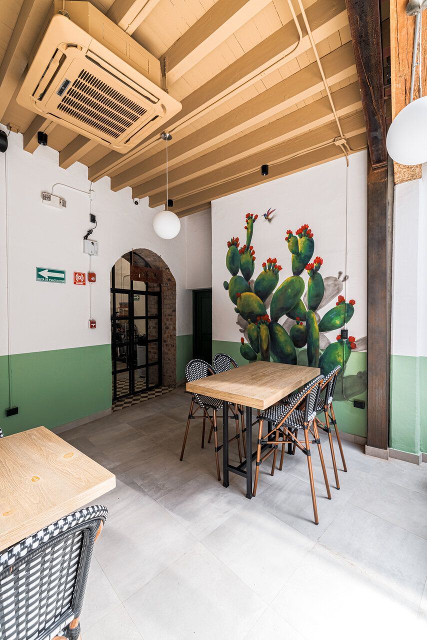 Entrada de Casona Obregón 55 con muro verde, cactus y mobiliario de madera